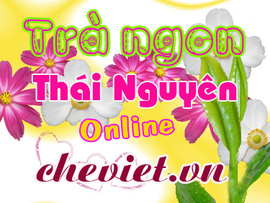 Sản xuất chè tiêu chuẩn VietGAP ở Thái Nguyên Thị trường Trà Thái Nguyên