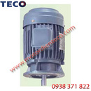 Bình Dương: motor teco mặt bích - aeuv RSCL1174774