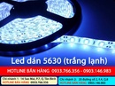 Tp. Hồ Chí Minh: bán đèn led dây dán hắt trần 5630. 5050. 3528 giá rẻ nhất 2013 CL1265818