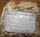 Tp. Hồ Chí Minh: Rễ Cây Đinh lăng- Sản phẩm tốt-dùng bồi bổ rất tốt cơ thể RSCL1194454