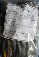 Tp. Hồ Chí Minh: Bán loại Chuối Hột Rừng-Chữa nhức mỏi, tán sỏi, tê thấp, lợi tiểu CL1273102P4