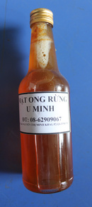 Tp. Hồ Chí Minh: Bán Mật Ong Rừng U MINH-các loại mật ong khác- tốt cho sứckhỏe-giá rẻ CL1276218