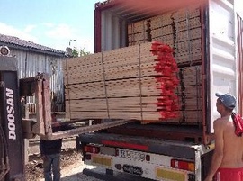 Cung cấp gỗ Sồi ( White oak ) 0917518427