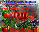 Tp. Hồ Chí Minh: cung cấp ớt sừng tươi xuất khẩu CL1282798