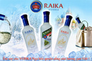 Tp. Hà Nội: rượu vodka, ruou vodka Raika. Cung cấp rượu Vodka Raika của công ty CP 319 Hà Nộ CL1568200
