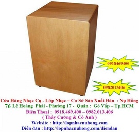 tiệm đàn nụ hồng bán các loại trống cajon