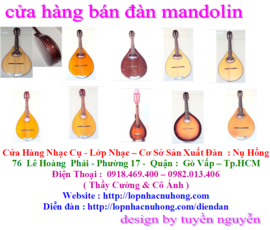 cửa hàng đàn nụ hồng bán các loại đàn mandolin