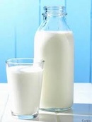 Tp. Hà Nội: Bán buôn, bán lẻ sữa bò tươi nguyên chất cho các cửa hàng, đại lý sữa CL1309190P7