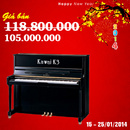 Tp. Hồ Chí Minh: Mua đàn piano với giá đặc biệt nhất từ trước đến nay mừng xuân 2014 RSCL1172610