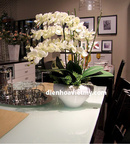 Tp. Hà Nội: Chậu hoa vải lụa tuyệt đẹp trưng bầy văn phòng, gia đình. CL1312119