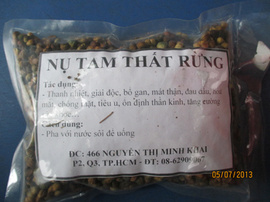 Nụ hoa Tam thất- Bổ thận, gan, sáng mắt, ổ huyết áp, ngủ ngon