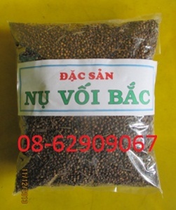 Nụ Vối miền Bắc -Thanh nhiệt, tiêu thực, làm giảm mỡ máu-giá rẻ