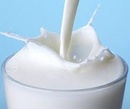 Tp. Hà Nội: Sữa bò tươi nguyên chất - vắt trong ngày - không chất bảo quản 0989. 603. 612 CL1305592P4