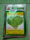 Tp. Hồ Chí Minh: Hạt giống cải bẹ xanh TN 53 CL1305223P7