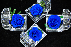 Hoa hồng bất tử quà tặng độc đáo ngày quốc tế phụ nữ