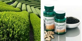 Trà xanh chống ung thư, tan mỡ: Tegreen97 dòng sản phẩm tập đoàn nuskin