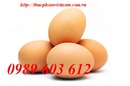 Tp. Hà Nội: Bán buôn trứng gà sạch giá rẻ cho các quán ăn, nhà hàng CL1307065
