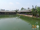 Tp. Hồ Chí Minh: Hồ Câu Cá Đất Vườn Xưa Quận Gò Vấp CL1313842P10