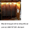 Tp. Hà Nội: Địa chỉ bán máy ấp trứng gia cầm, thủy cầm tự động giá rẻ CL1326672P10