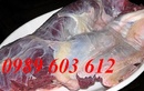 Tp. Hà Nội: Mua buôn thịt bò nhập khẩu ở đâu CL1316423