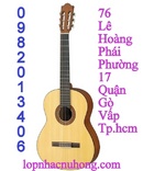 Tp. Hồ Chí Minh: siêu thị đàn nụ hồng bán các loại guitar nước ngoài và việt nam CL1289565P5