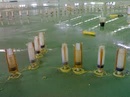 Tp. Hồ Chí Minh: Thi công chống thấm, xử lý rò rỉ nước, xử lý vết nứt giá rẻ cho công trình RSCL1321691