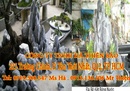Tp. Hồ Chí Minh: Chuyên Cung cấp Đá bồ kêt bóng nước dùng làm non bộ, thiết kế sân vườn, cây cảnh CL1322661