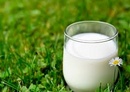 Tp. Hà Nội: Cung cấp sữa tươi nguyên chất cho các cửa hàng đại lý sữa tại Hà Nội CL1324024
