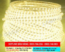 Bán led 5050, 3528 cuộn hắt trần 50m, 100m giá rẻ nhất 2014