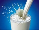 Tp. Hà Nội: Sữa tươi nguyên chất mua giá rẻ tại Hà Nội CL1324584