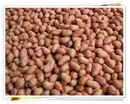 Tp. Hồ Chí Minh: Cần bán đậu phộng đủ tiêu chuẩn xuất khẩu CL1328010