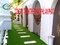 [2] Nơi bán thảm cỏ nhân tạo sân vườn giá siêu rẻ 0949238040