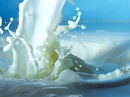 Tp. Hà Nội: Sữa tươi thanh trùng giao hàng miễn phí tại Hà Nội RSCL1336749