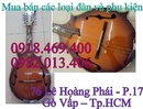 Tp. Hồ Chí Minh: Đàn mandolin có cẩn và không cẩn , đàn mandolin giá rẻ tại Cửa hàng Nụ Hồng CL1364323