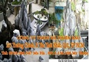 Tp. Hồ Chí Minh: Phân phối các loại đá quý- đá trang trí cho các tỉnh miền tây- Đông Nam bộ- toàn CL1334207
