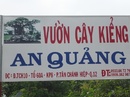 Tp. Hồ Chí Minh: Cung cấp cây Kiểng Cổ - Bonsai CL1334207