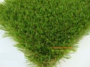 Tp. Hồ Chí Minh: bán cỏ nhân tạo sân vườn CL1453143P9