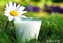 Tp. Hà Nội: Sữa tươi nguyên chất - sữa thanh trùng bán tại Hà Nội CL1671571P4