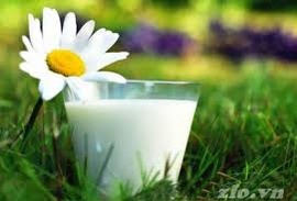 Sữa tươi nguyên chất - sữa thanh trùng bán tại Hà Nội