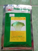 Tp. Hồ Chí Minh: Cung cấp hạt rau sạch CL1342015