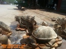Bắc Ninh: Quà tặng tân gia : Rùa Vàng đầu rồng RV03 CL1343982