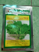 Tp. Hồ Chí Minh: Hạt giống rau trồng sạch CL1357792P4