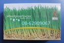 Tp. Hồ Chí Minh: Tiểu mạch thảo- Sản phẩm giúp chống lão hóa, giải độc tốt CL1353178P2