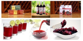 Phân phối các sản phẩm đồ uống thảo mộc Atiso đỏ - tìm đại lý toàn quốc