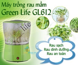 Máy trồng rau mầm Green Life GL612 Hàn Quốc giá rẻ nhất Hà Nội