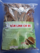 Tp. Hồ Chí Minh: Nấm linh chi- Làm giảm cho lesterol, ngừa ung thư, tăng đề kháng-giá rẻ CL1357099