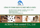 Tp. Hà Nội: Phun muỗi tại Hà Nội CL1124147P10