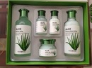 Tp. Hà Nội: Bộ dưỡng da Lô Hội Aloe Aqua Skin Care Set- Bán buôn mỹ phẩm CL1434146