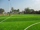 Tp. Hồ Chí Minh: Thi công sân bóng đá cỏ nhân tạo rẻ nhất HCM CL1363119