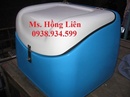 Tp. Hồ Chí Minh: giá thùng chở hàng xe máy, thùng chở hàng composite tphcm, thùng xe máy CL1364096